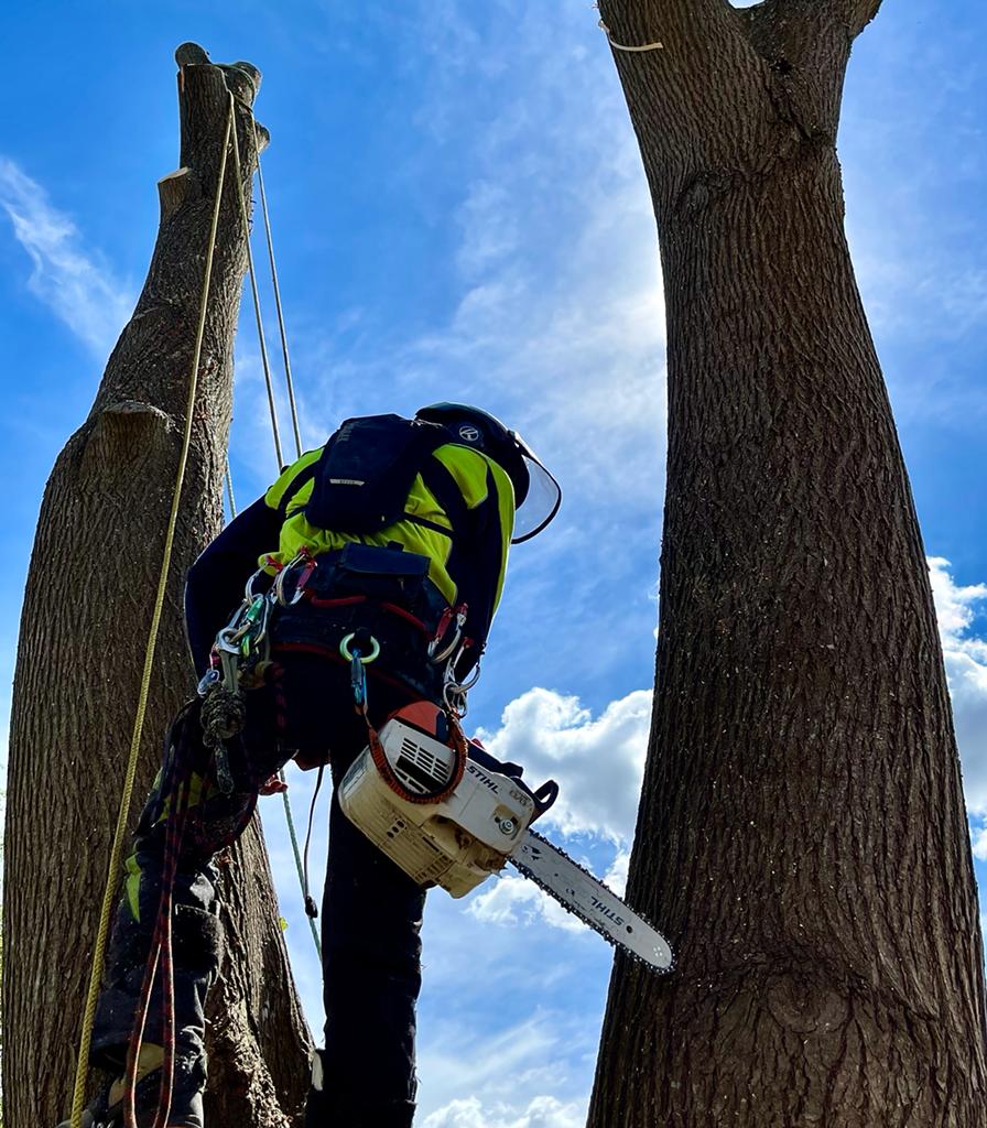 REECOIL Standard Chainsaw Lanyard