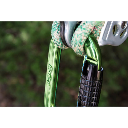 NOTCH ABSOLUTE OVAL CARABINER