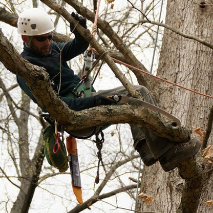 SILKY SUGOI 360 ARBORIST HAND SAW